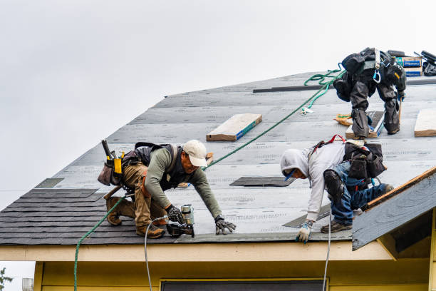 Professional Roofing technician working in Geneva, IA